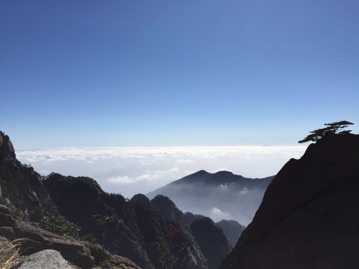 重大消息！今日起招標新規(guī)正式實施，低于100萬的勘察、設計、監(jiān)理；低于400萬工程將不再需要招標！